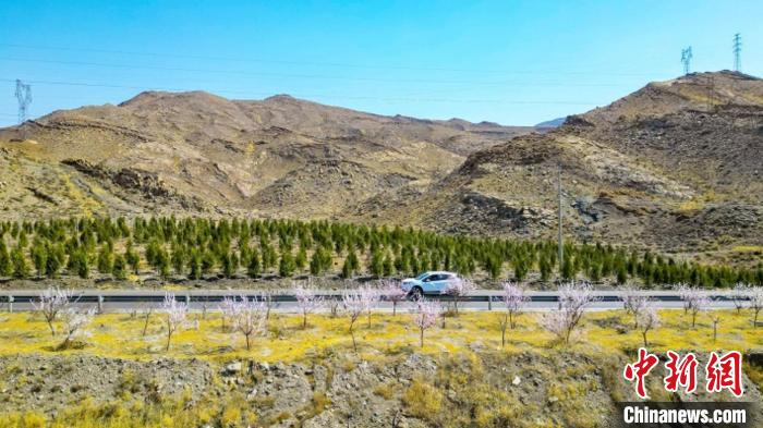 生態修復后逐漸變綠的賀蘭山石嘴山段。　石嘴山市委宣傳部供圖