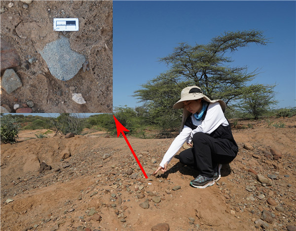 地層中的勒瓦婁哇石片。中肯聯合考古隊供圖