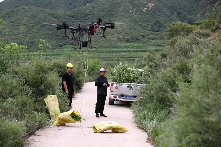 在石家莊市井陘縣吳家窯鄉(xiāng)長(zhǎng)峪村荒山造林現(xiàn)場(chǎng)，一名無人機(jī)手操控?zé)o人機(jī)運(yùn)輸樹苗。王保龍攝