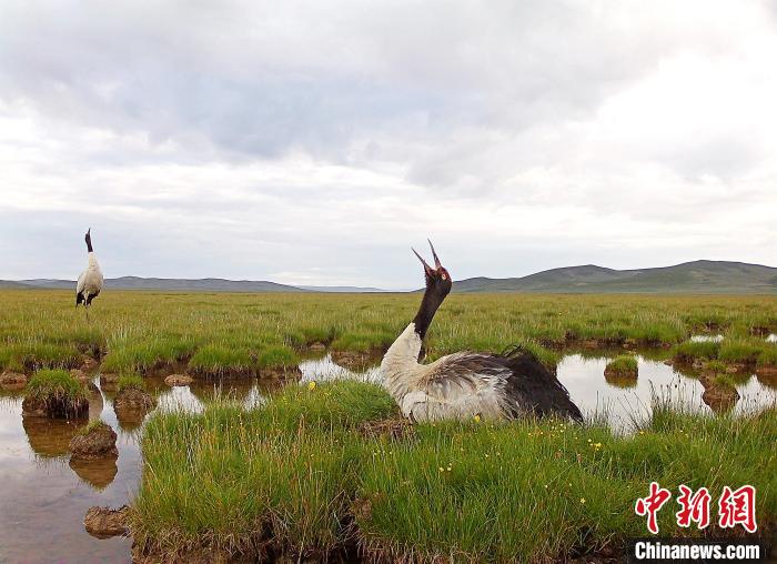 青海護衛“中華水塔”守護“青海藍”