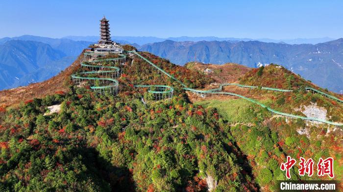 巴山大峽谷彩林迎來最佳觀賞期。　姚盛 攝