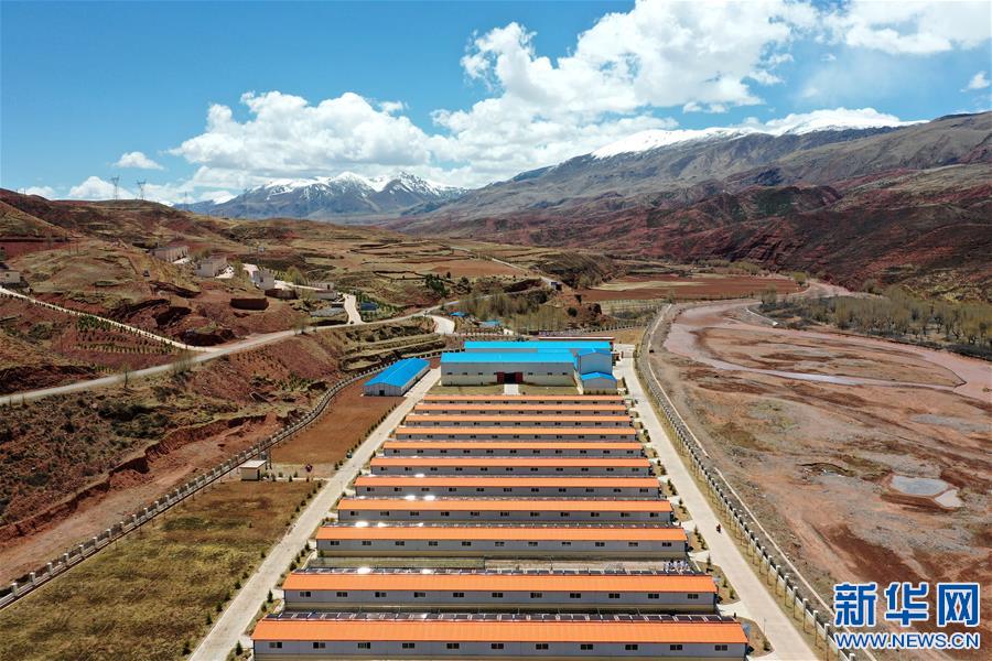 （決戰決勝脫貧攻堅·圖文互動）（4）“阿旺綿羊”成就大產業——西藏貢覺縣做大做強扶貧產業見聞