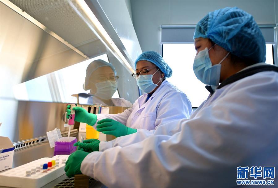 （新華全媒頭條·圖文互動）（8）莊重的承諾　歷史的奇跡——西藏自治區決戰脫貧攻堅紀實