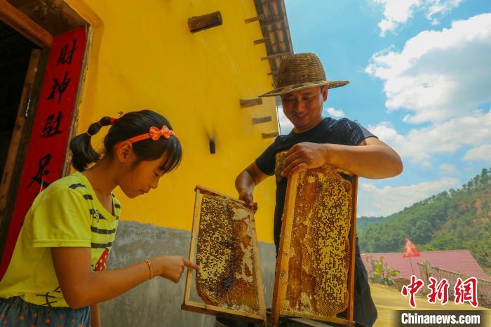 “甜蜜產業”讓全村致富有奔頭。洲湖鎮供圖